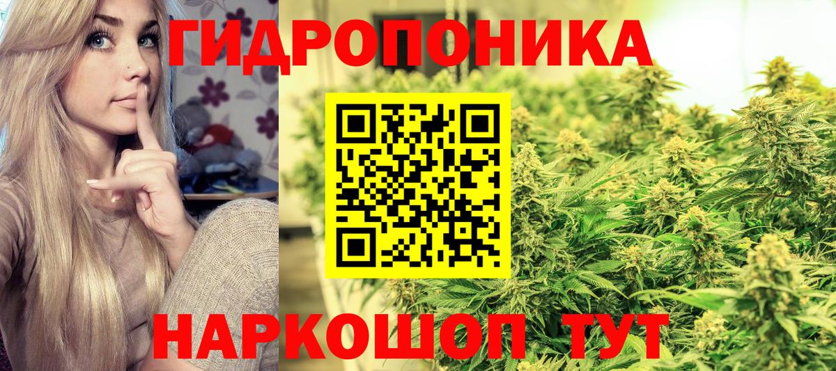 Шишки марихуана сатива  Вход с VPN  Шишки марихуана SATIVA & INDICA  Елец  МАРИХУАНА LSD WEED 